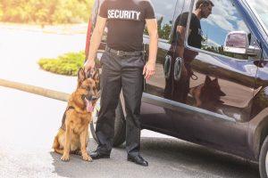 Agent Cynophile accompagné de son chien de garde à côté d'une voiture